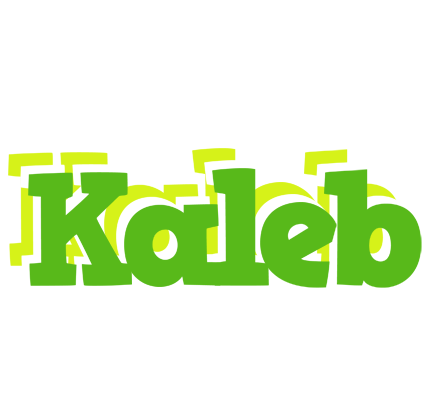 Kaleb picnic logo