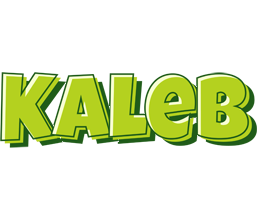 Kaleb summer logo