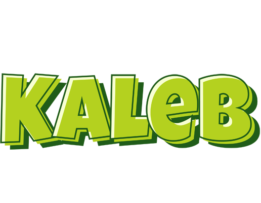 Kaleb summer logo