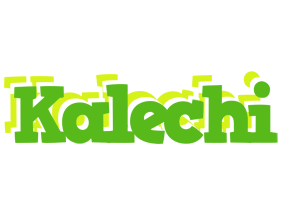 Kalechi picnic logo