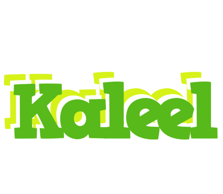 Kaleel picnic logo