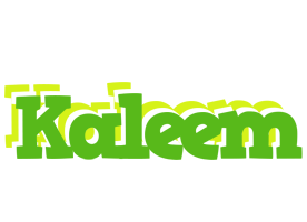 Kaleem picnic logo