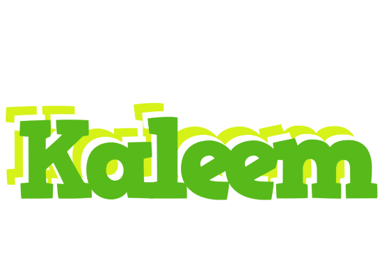 Kaleem picnic logo