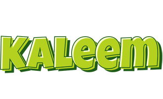 Kaleem summer logo