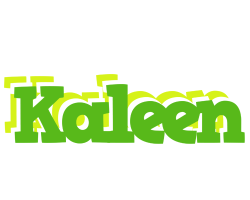 Kaleen picnic logo