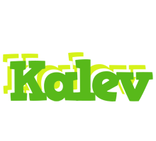 Kalev picnic logo