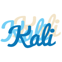 Kali breeze logo