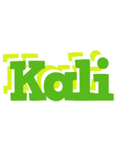 Kali picnic logo