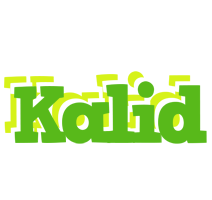 Kalid picnic logo