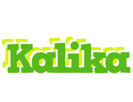 Kalika picnic logo