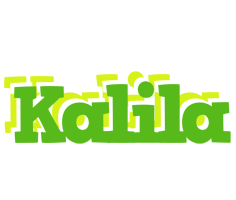 Kalila picnic logo