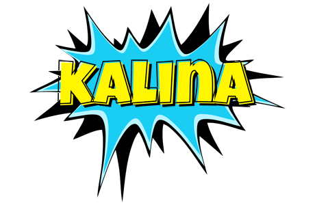 Kalina amazing logo