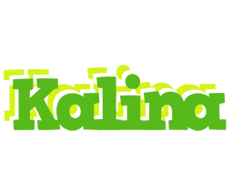 Kalina picnic logo