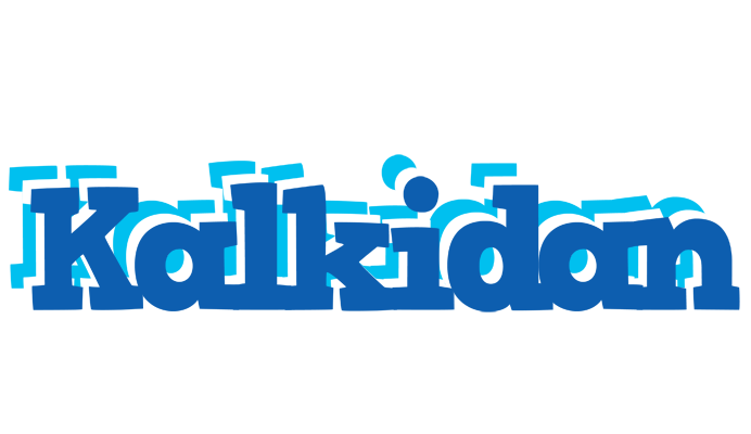 Kalkidan business logo