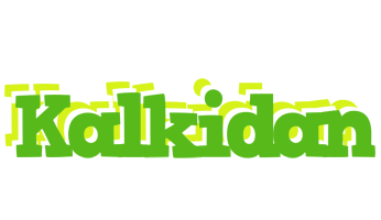 Kalkidan picnic logo