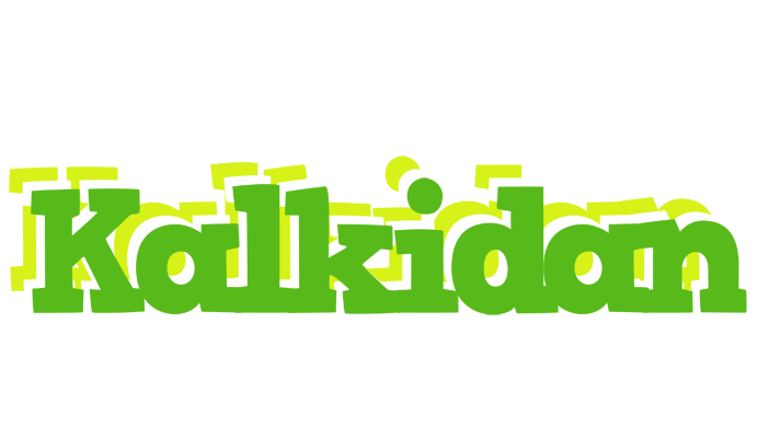 Kalkidan picnic logo