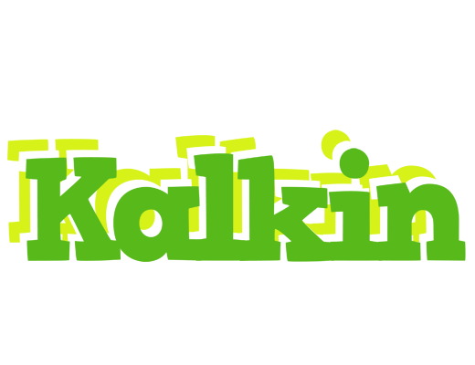Kalkin picnic logo