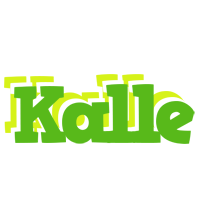 Kalle picnic logo