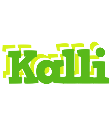 Kalli picnic logo
