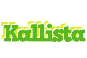 Kallista picnic logo