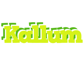 Kallum citrus logo