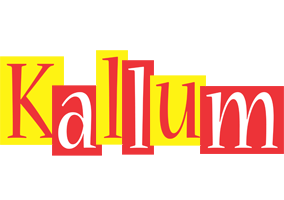 Kallum errors logo