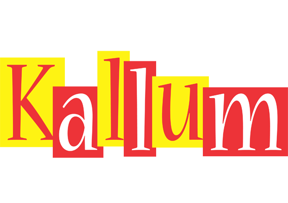 Kallum errors logo