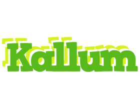 Kallum picnic logo