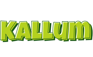 Kallum summer logo