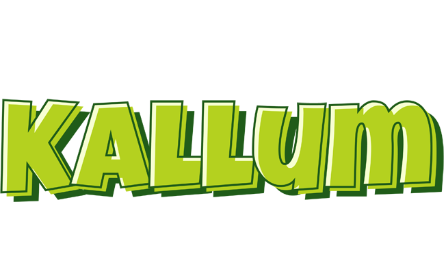 Kallum summer logo