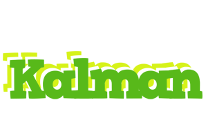 Kalman picnic logo