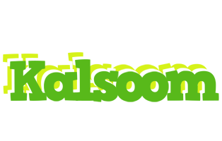 Kalsoom picnic logo