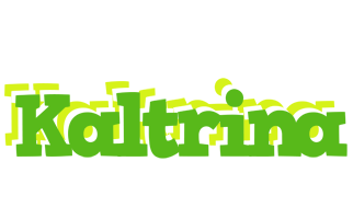 Kaltrina picnic logo