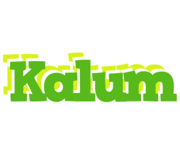 Kalum picnic logo