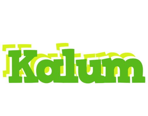 Kalum picnic logo