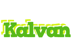 Kalvan picnic logo