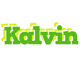 Kalvin picnic logo
