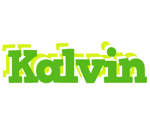 Kalvin picnic logo