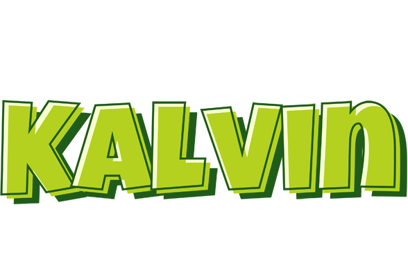 Kalvin summer logo
