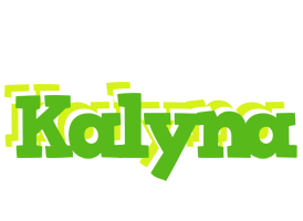 Kalyna picnic logo