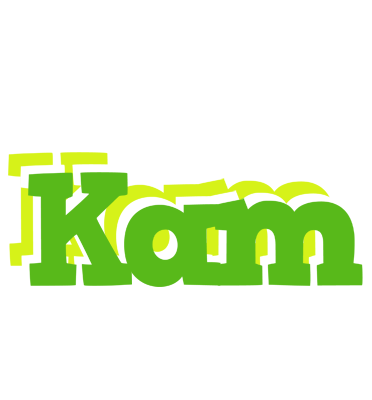 Kam picnic logo