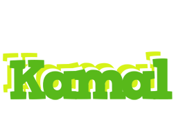 Kamal picnic logo