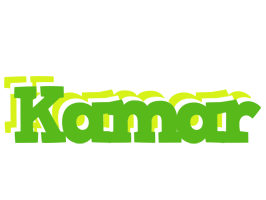 Kamar picnic logo