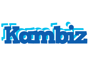 Kambiz business logo