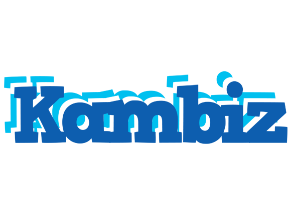 Kambiz business logo