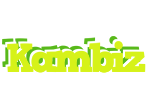 Kambiz citrus logo