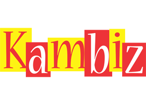 Kambiz errors logo