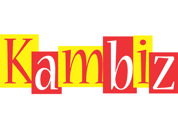 Kambiz errors logo