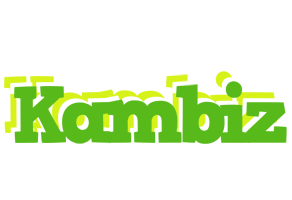 Kambiz picnic logo