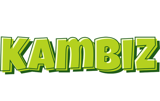 Kambiz summer logo